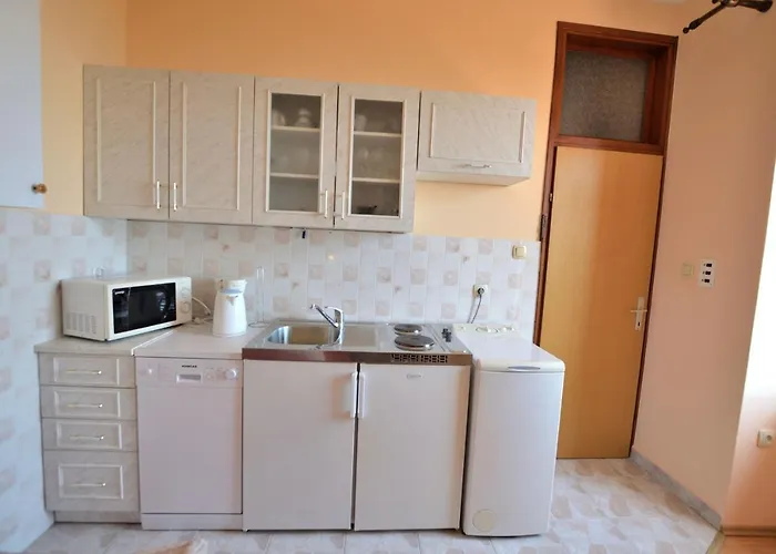 Mirela أوباتيا